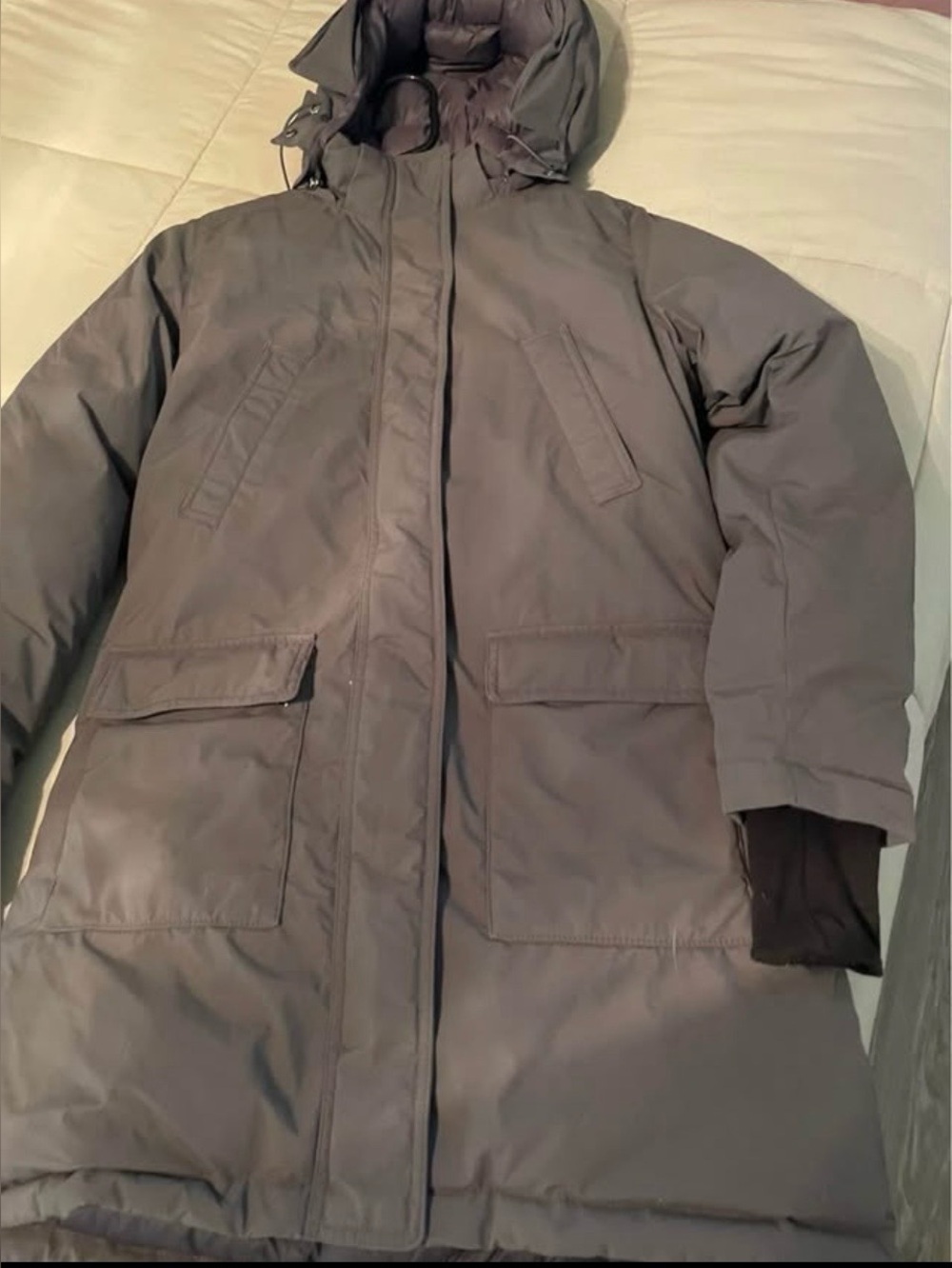 Men's north face mc murdo alpine jacket Insulated Hooded Parka Jacket - Gray